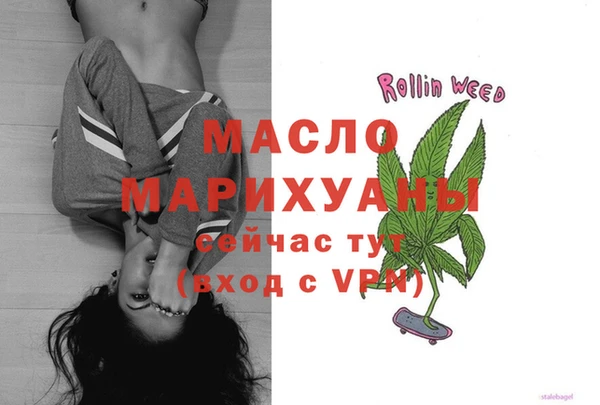 крисы Няндома