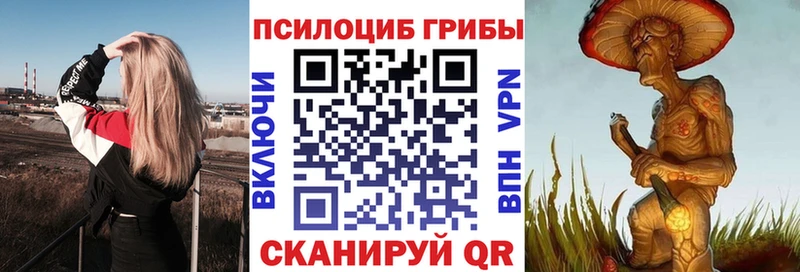 где продают наркотики  Куса  Псилоцибиновые грибы мицелий 
